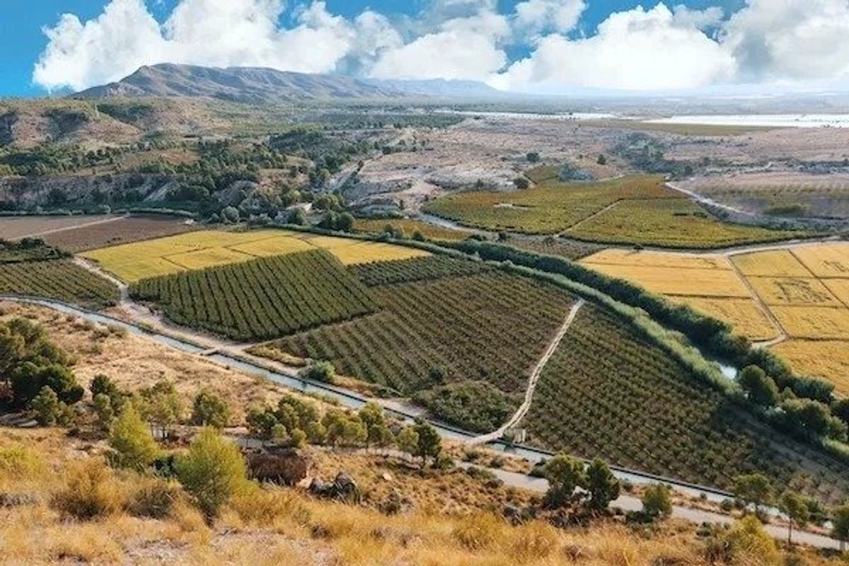 Panoramisch uitzicht op landbouwvelden nabij Calasparra, met heuvels op de achtergrond.