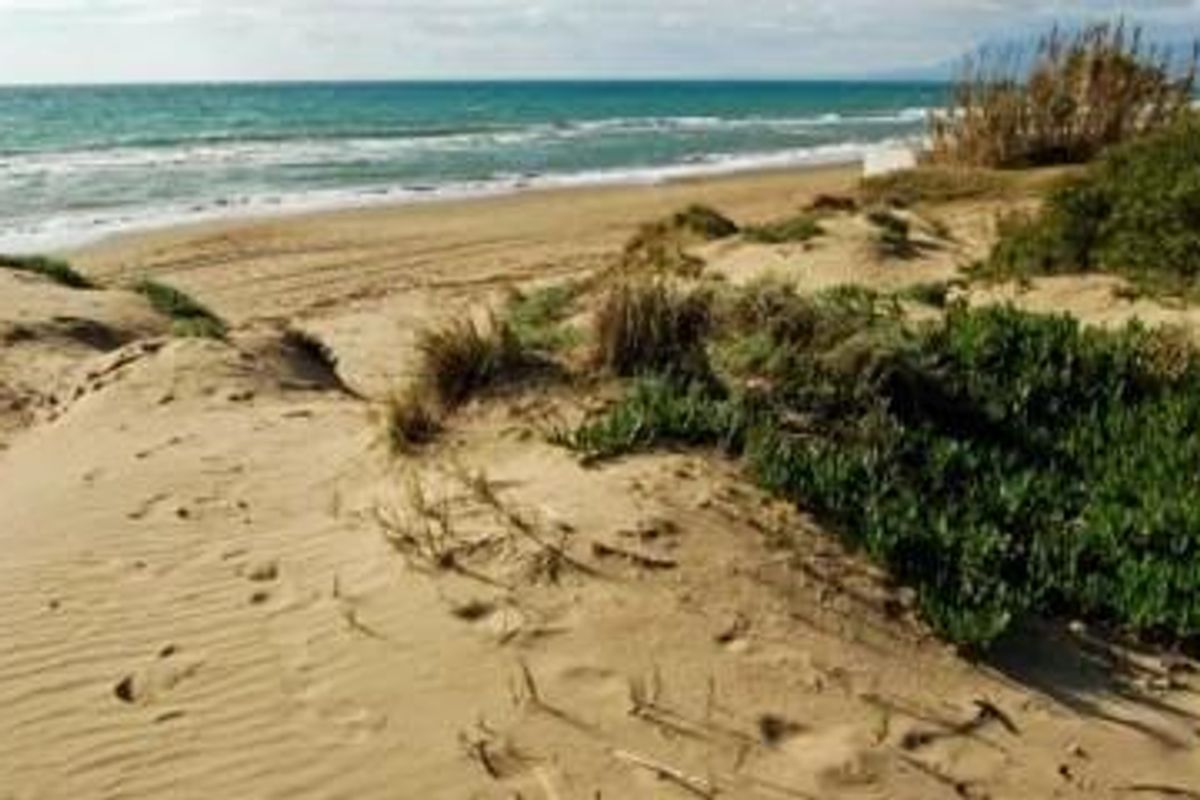 Uitgestrekt zandstrand met duinen en vegetatie in Marbella, ideaal voor natuurwandelingen en zonnen.