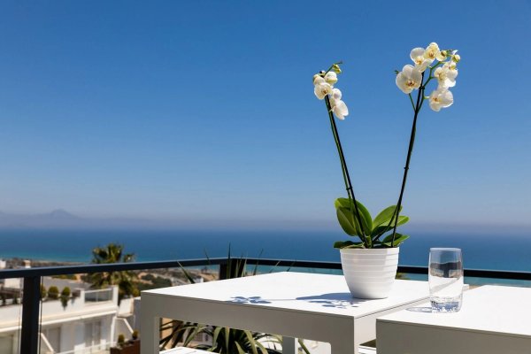 Orchideeën op een tafel met een prachtig uitzicht op de oceaan vanaf een terras in een 3-slaapkamer appartement in Santa Pola.
