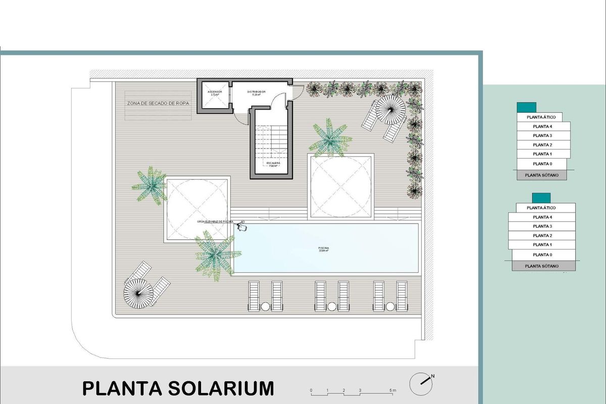 Plattegrond van een penthouse-solarium in Torrevieja, met een zwembad en ligstoelen.