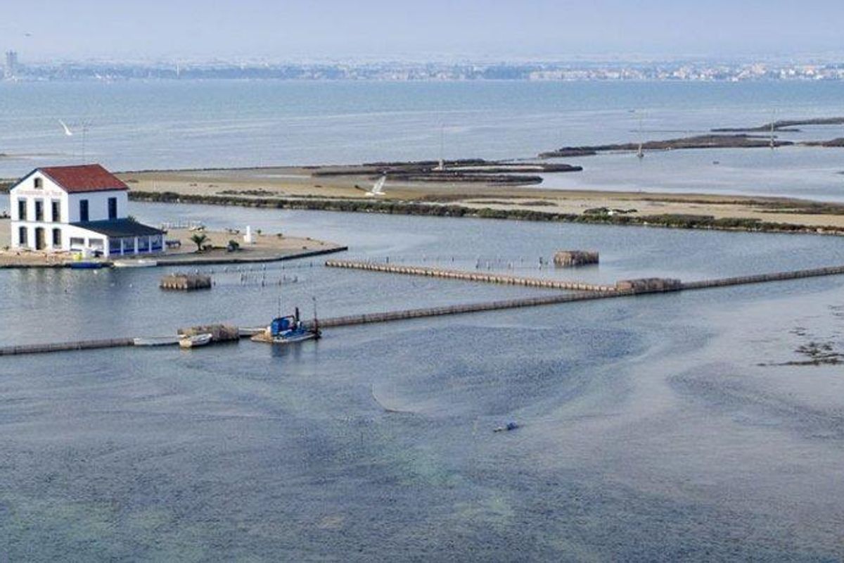 Schilderachtig uitzicht op een landschap nabij San Pedro del Pinatar, met wetlands en een verre stadsgezicht.