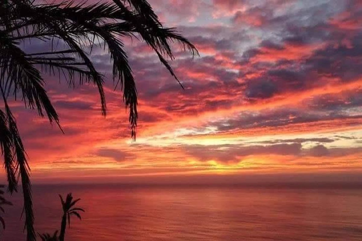 Adembenemende zonsondergang boven zee, met palmbomen op de kust van Torrevieja.