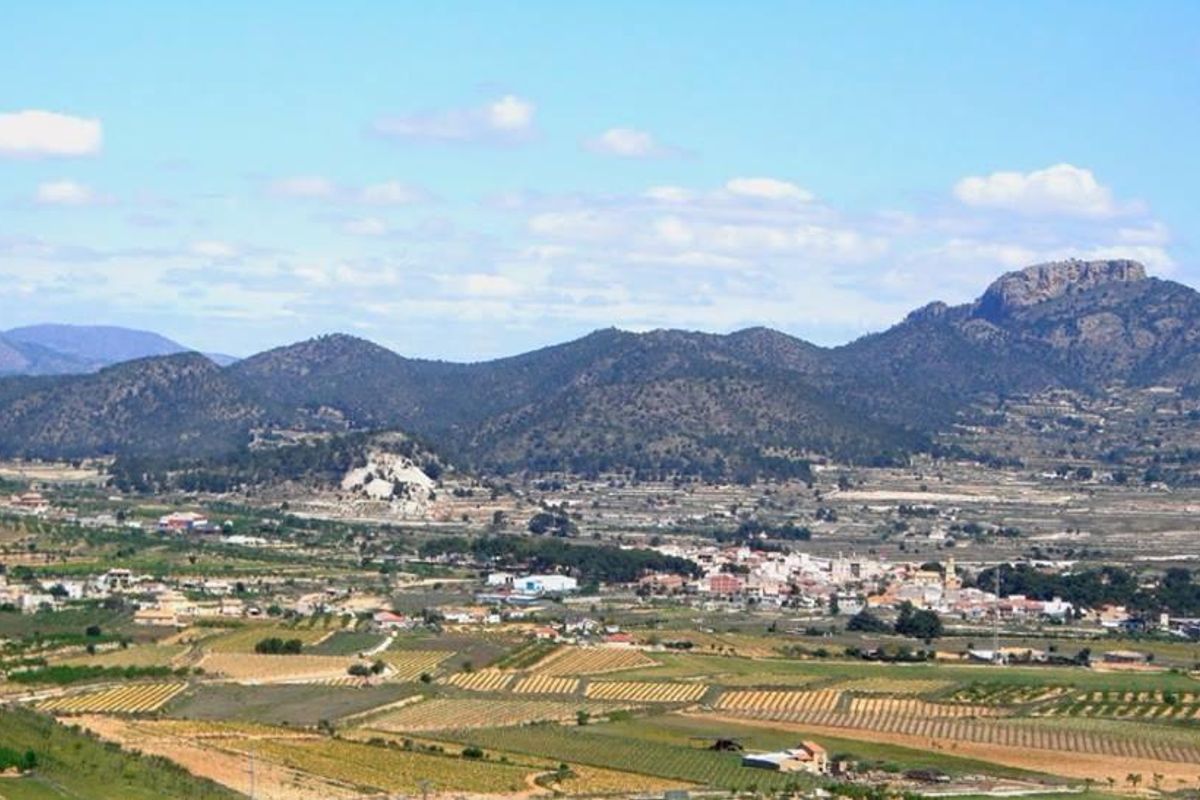 Panoramisch uitzicht op landbouwvelden en bergen rondom La Romana, Costa Blanca Zuid