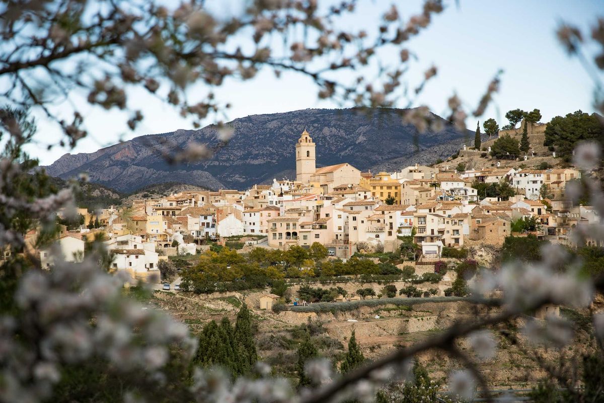 Prachtig panorama van het dorp Polop, omringd door bergen en bloeiende bomen in de regio Costa Blanca North.