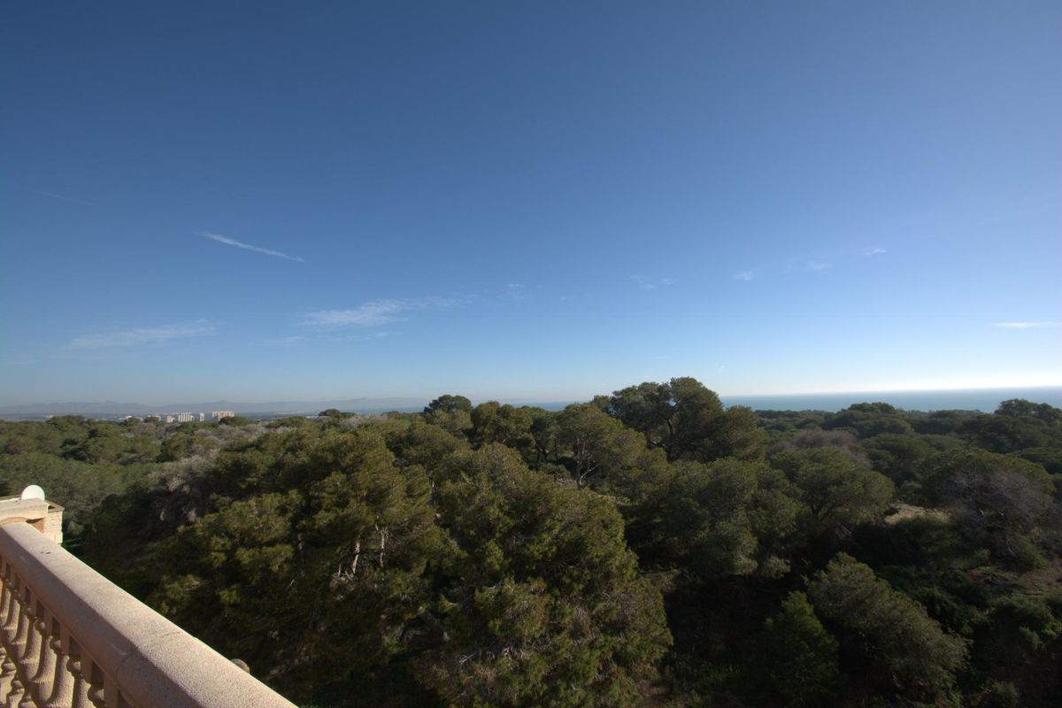 3-Bed Apartment Guardamar Sea Views - Image 15