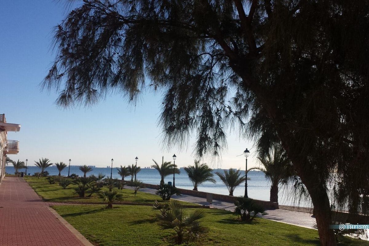 Prachtig uitzicht op de boulevard aan het water in Los Alcazares, omringd door palmbomen en groen.