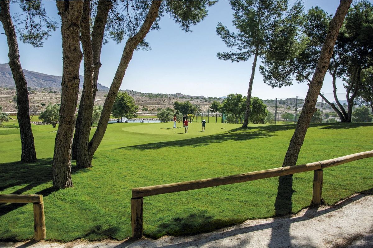 Lush golf green surrounded by trees, located near Monforte del Cid, offering a serene outdoor experience.