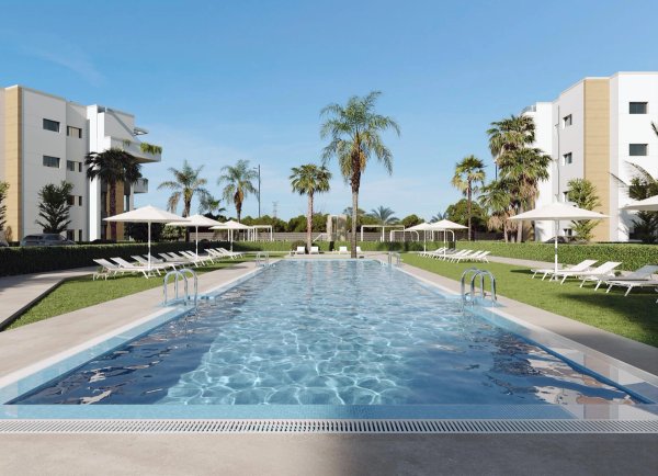 Outdoor pool area with palm trees and lounge chairs in Torre Pacheco, Costa Calida, Spain.