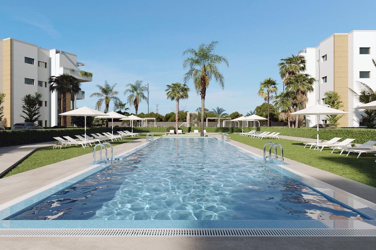 Dichtbijzicht van het zwembad omringd door palmbomen en ligstoelen, gelegen in Torre Pacheco.
