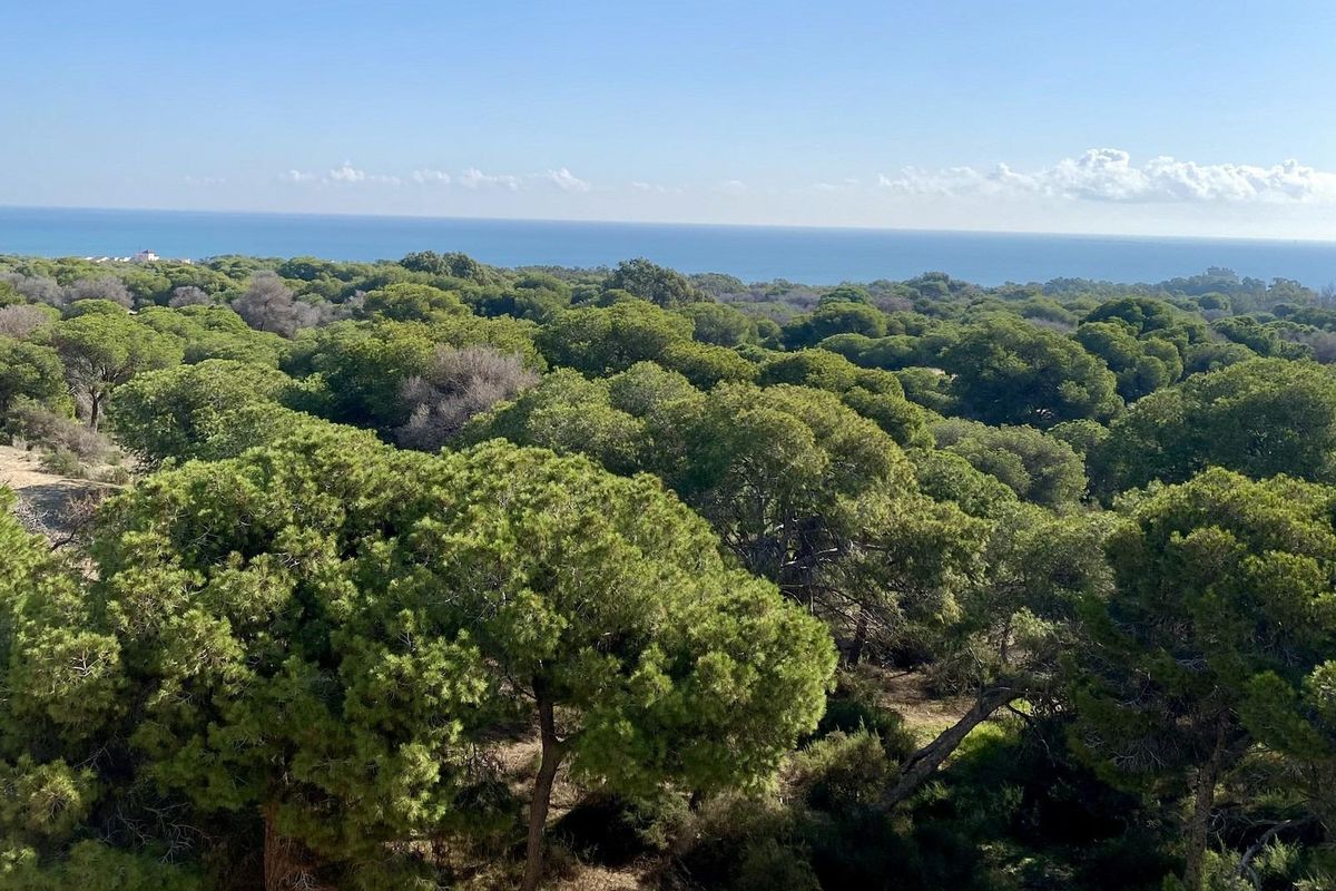 Luxe nieuwbouwwoningen vlak bij het strand in Guardamar del Segura