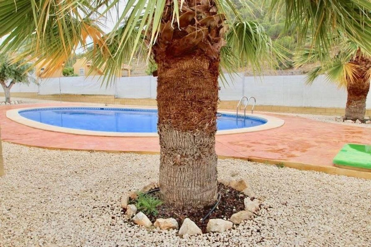 Aantrekkelijk uitzicht op het zwembad bij de villa omringd door palmbomen in La Romana, Costa Blanca Zuid.