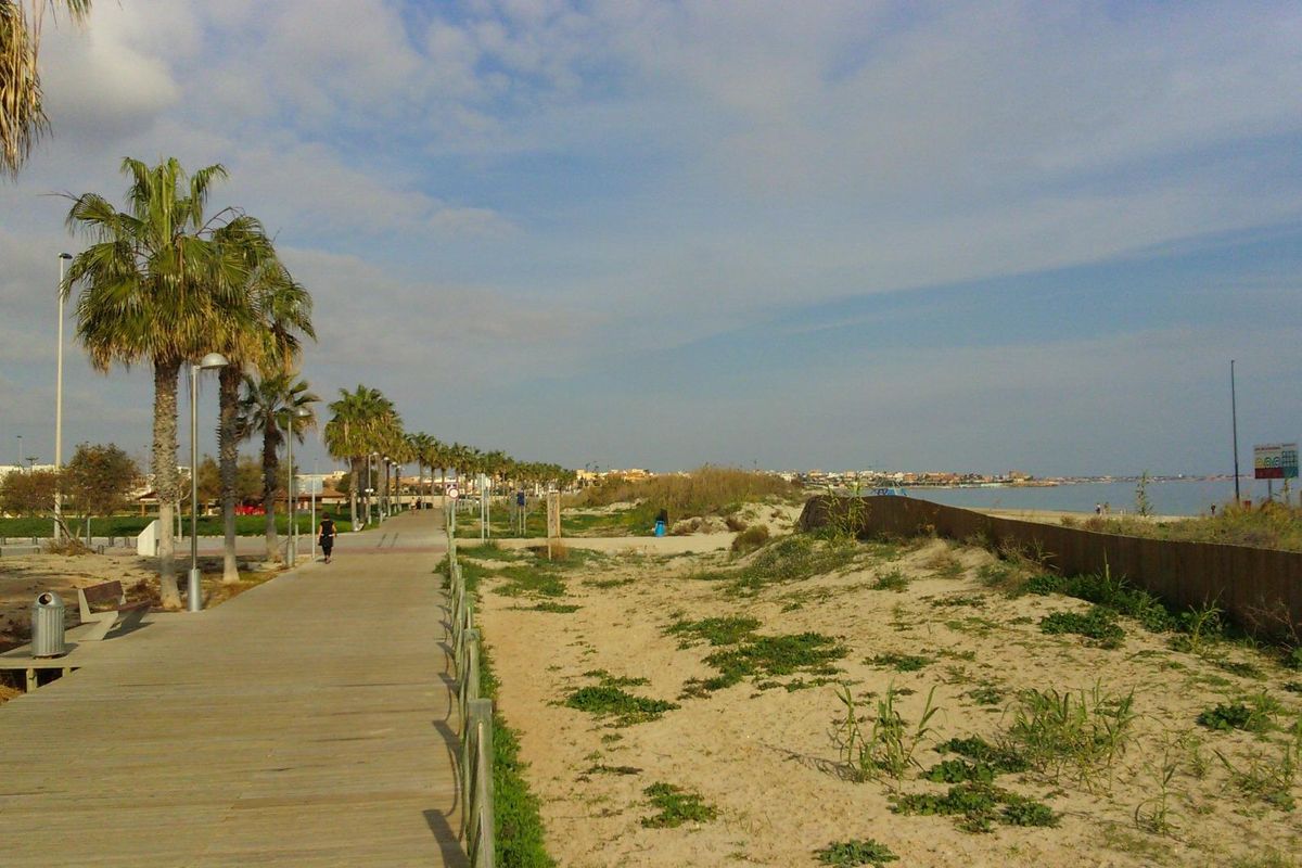 Schilderachtig uitzicht langs de promenade met palmbomen in Pilar de La Horadada, nabij een 5-slaapkamer villa.