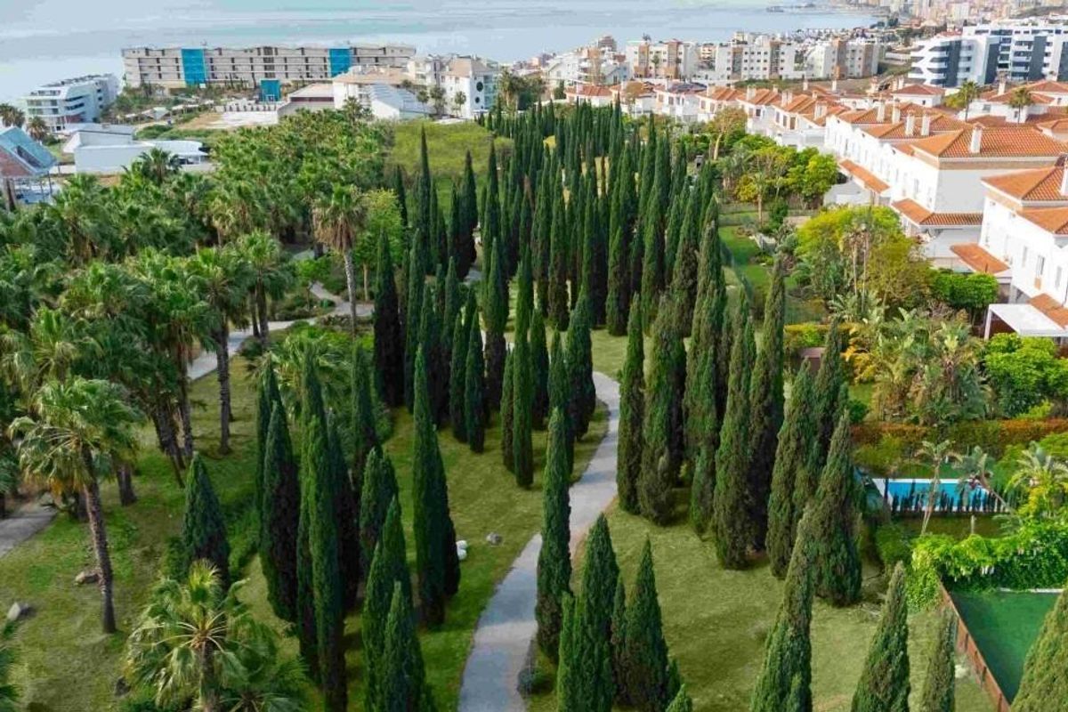 Luchtfoto van palmbomen en paden in een gemeenschapspark in Fuengirola, Costa del Sol.
