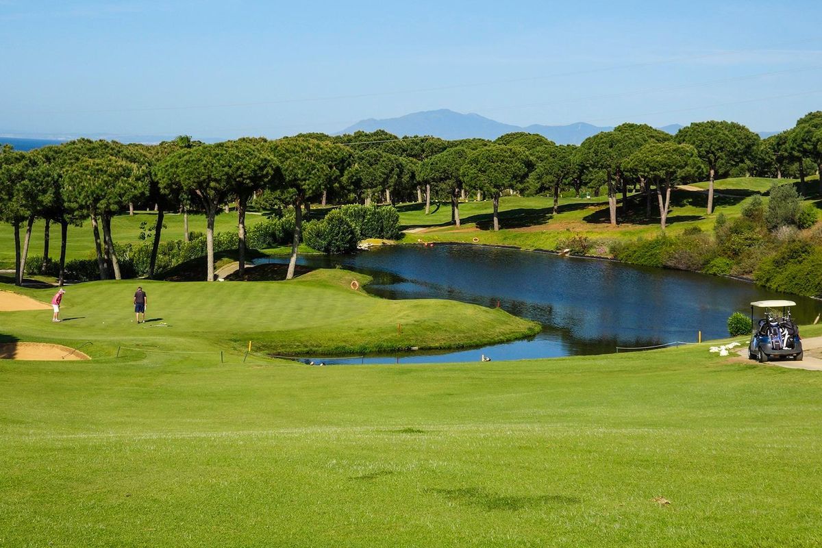 Groene golfbaan met bomen en een vijver, gelegen in het schilderachtige Marbella.