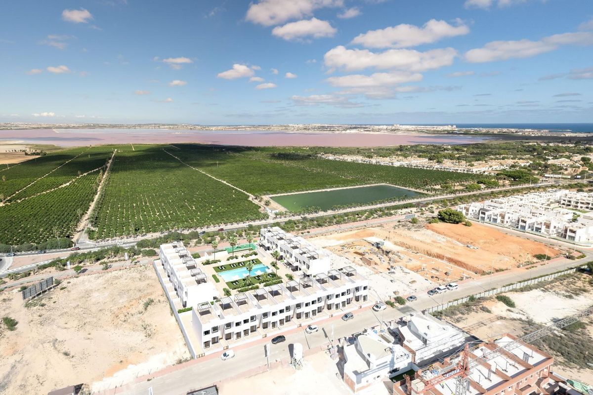 Luchtfoto van groene velden en meren nabij Torrevieja, een landschap van Costa Blanca Zuid.