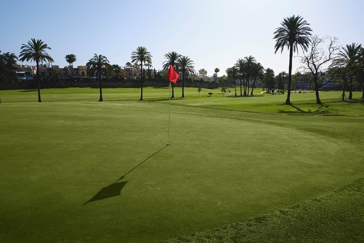 Palm trees and green on Guadalmina North Course