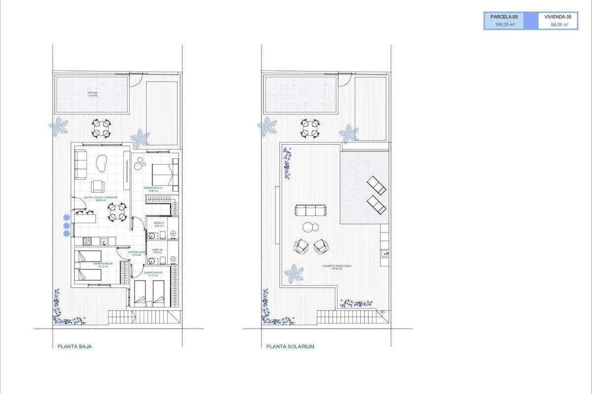 Omgeving van villa in Torre Pacheco