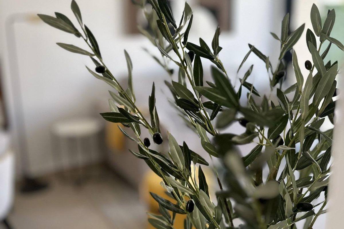 Decoratieve olijftak die het interieur van een woonkamer in een 3-slaapkamer appartement in San Fulgencio, Spanje, verfraait.