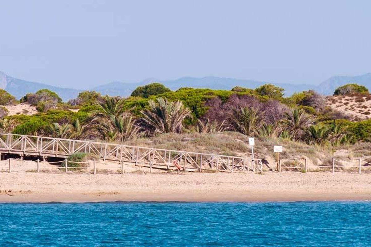 Houten pad op het strand in Guardamar del Segura, omringd door groen en kustduinen.