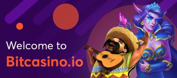 ビットカジノ 基本情報テーブル