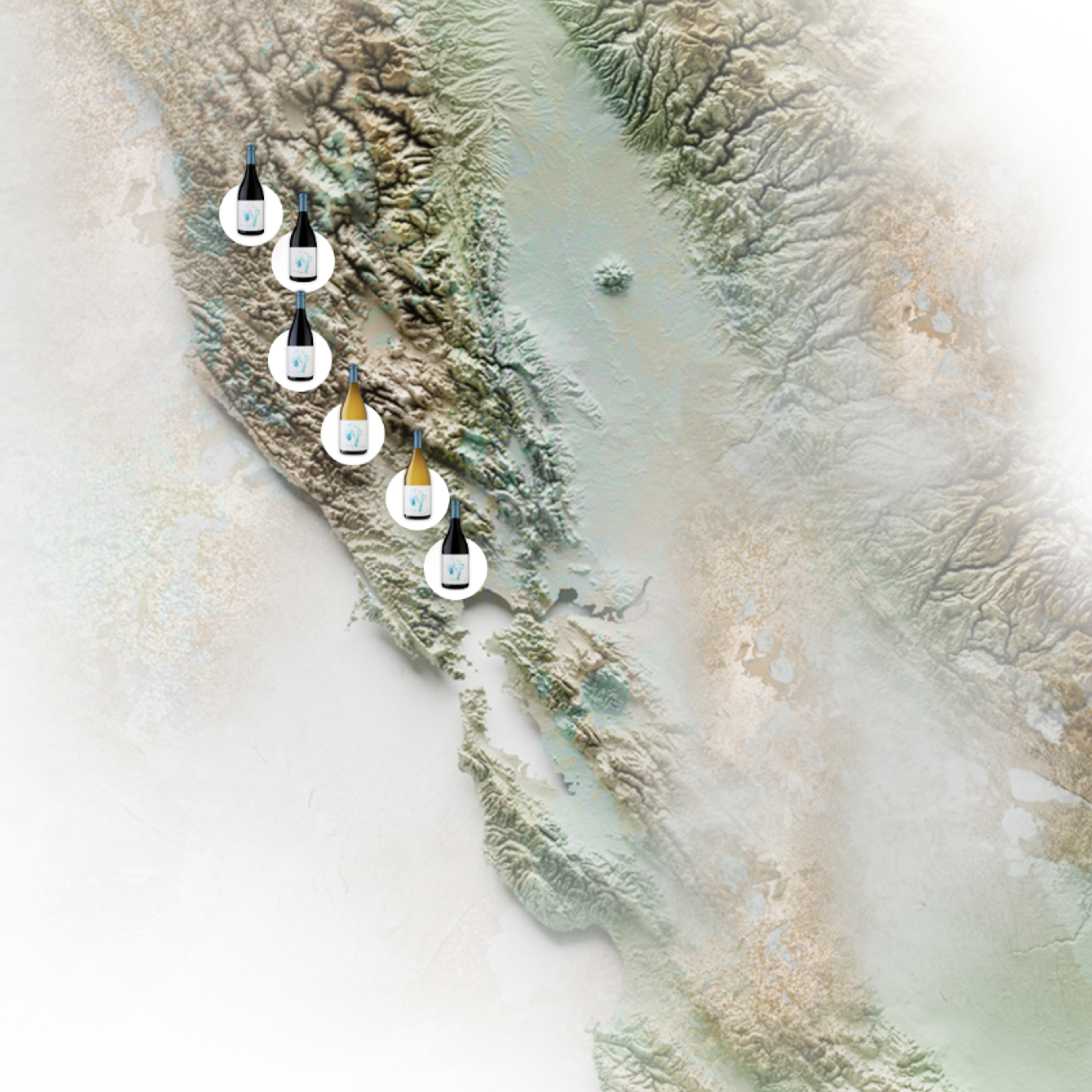 Relief map of the California coast with bottles marking Summer Dreams Wines vineyard locations