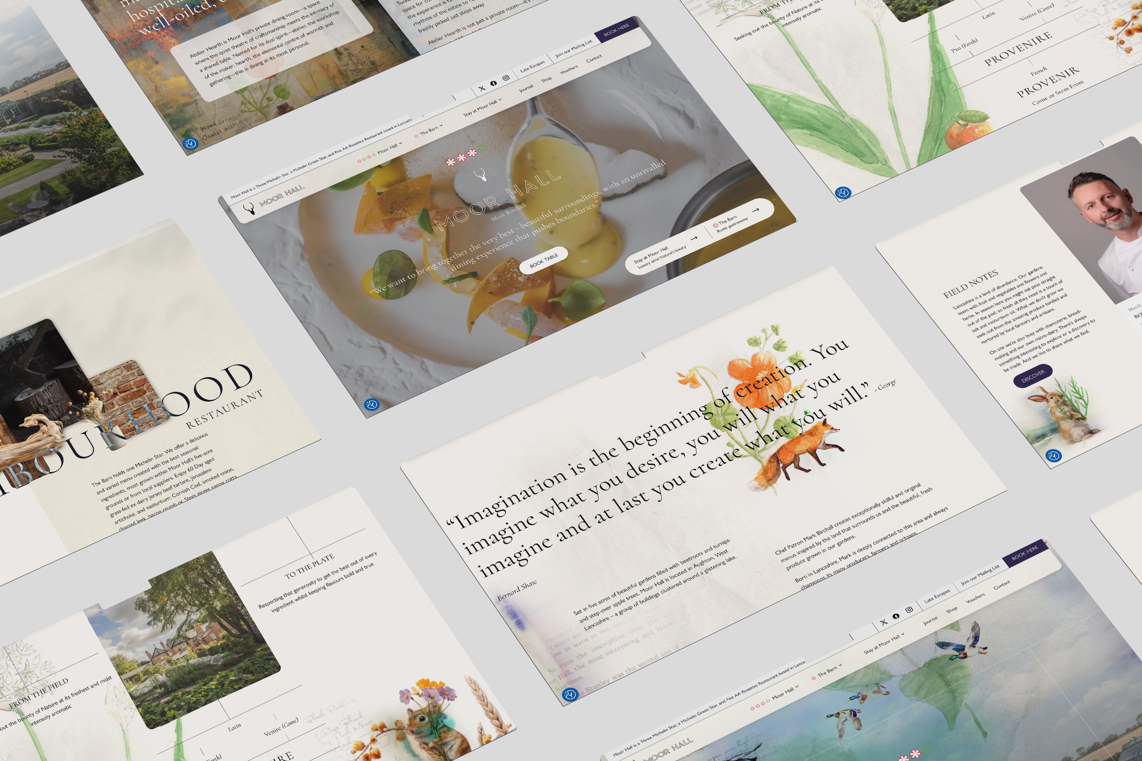 Collage of Moor Hall website page designs featuring food photography, illustrations and menus