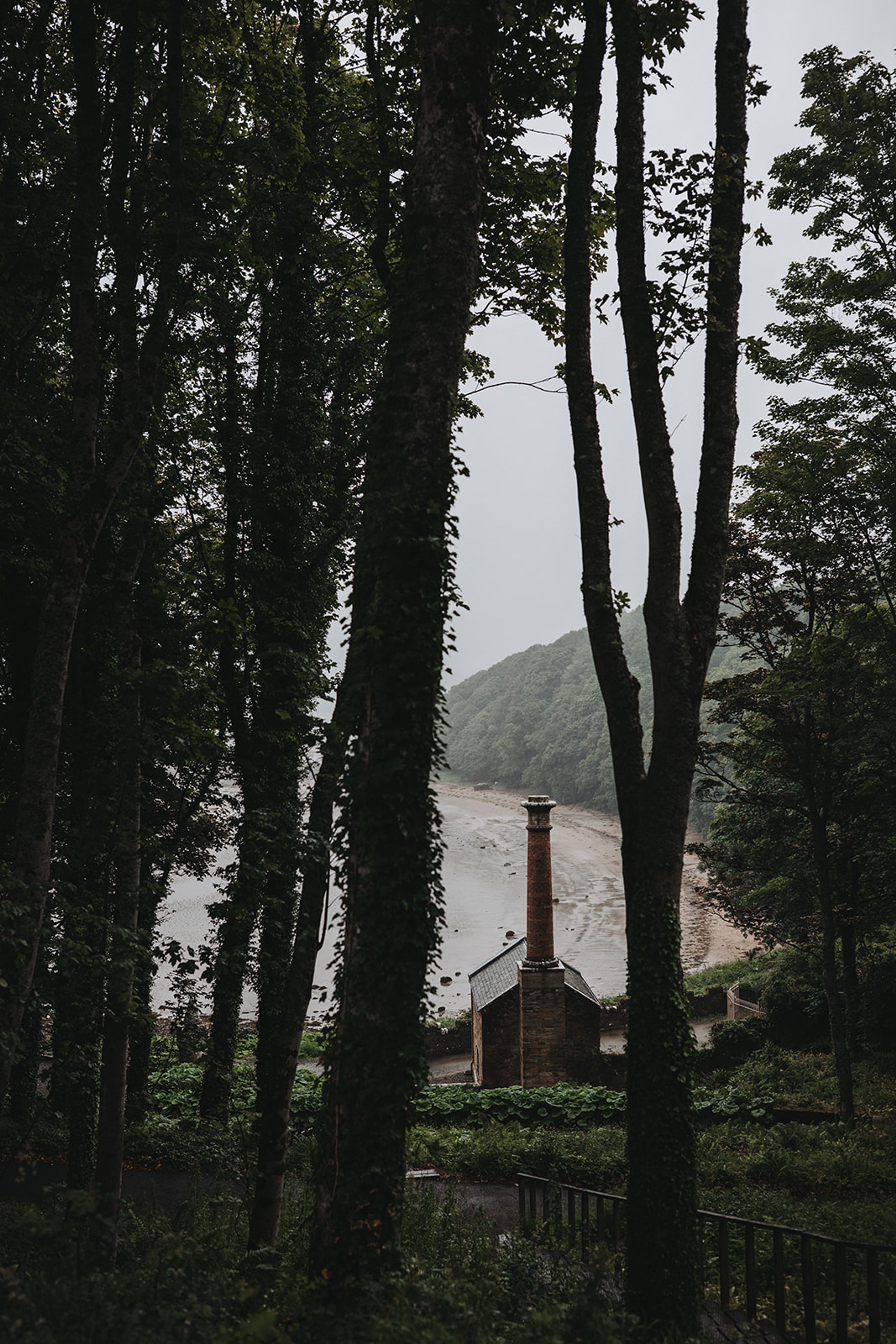 Old brick chimney by a misty wooded cove, framed between dark tree trunks