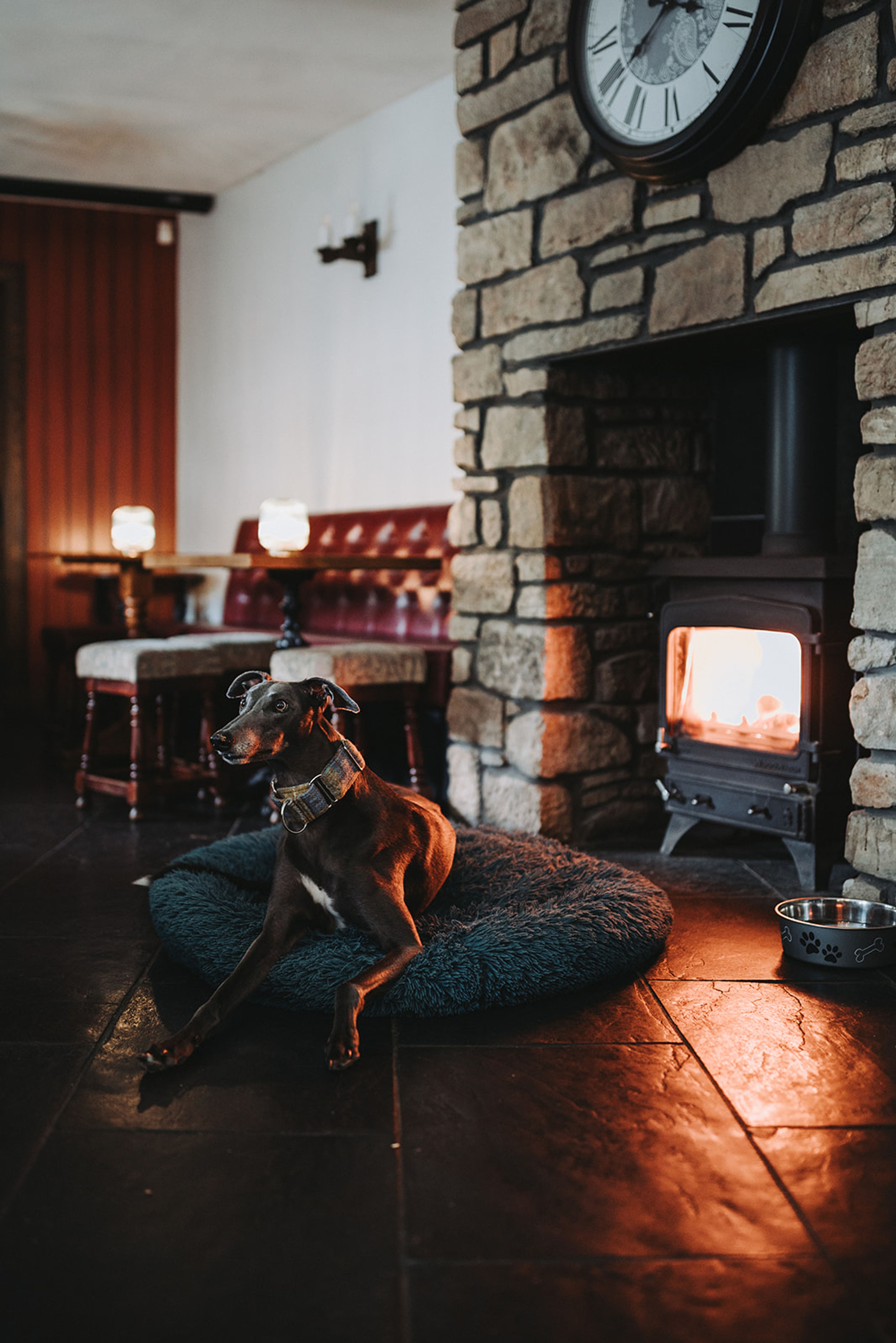 Dog resting on a bed beside the wood-burning stove in The Kirkmichael Arms pub