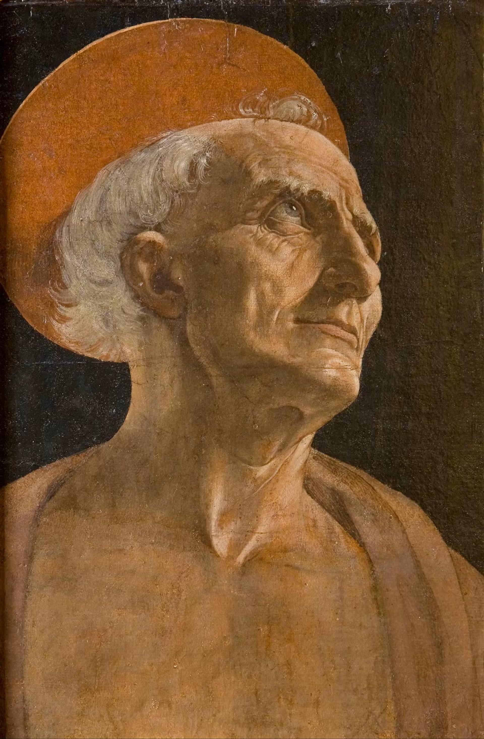 Andrea del Verrocchio, Saint Jerome, 1460 c.
