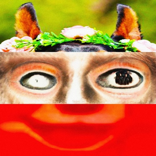 MALIFORM