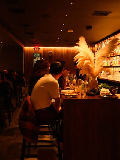 Green Zone DC pop up at Darling