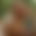 Kinderreise Thumbnail