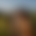 Golfcamp Thumbnail