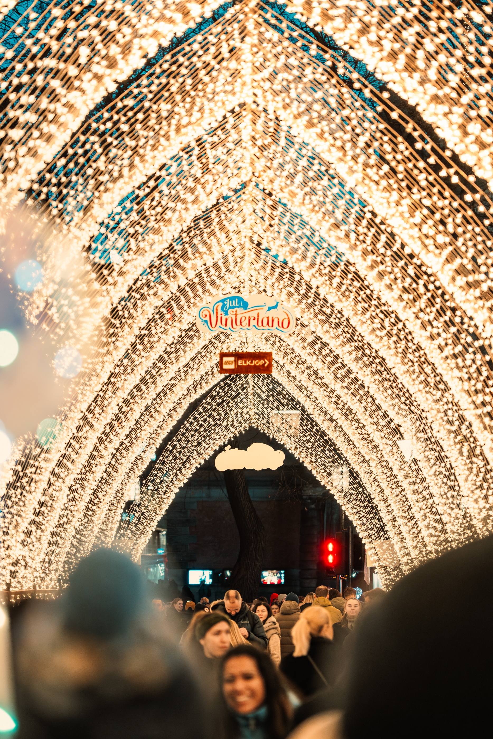 Stjernehimmelen på Jul i Vinterland.
