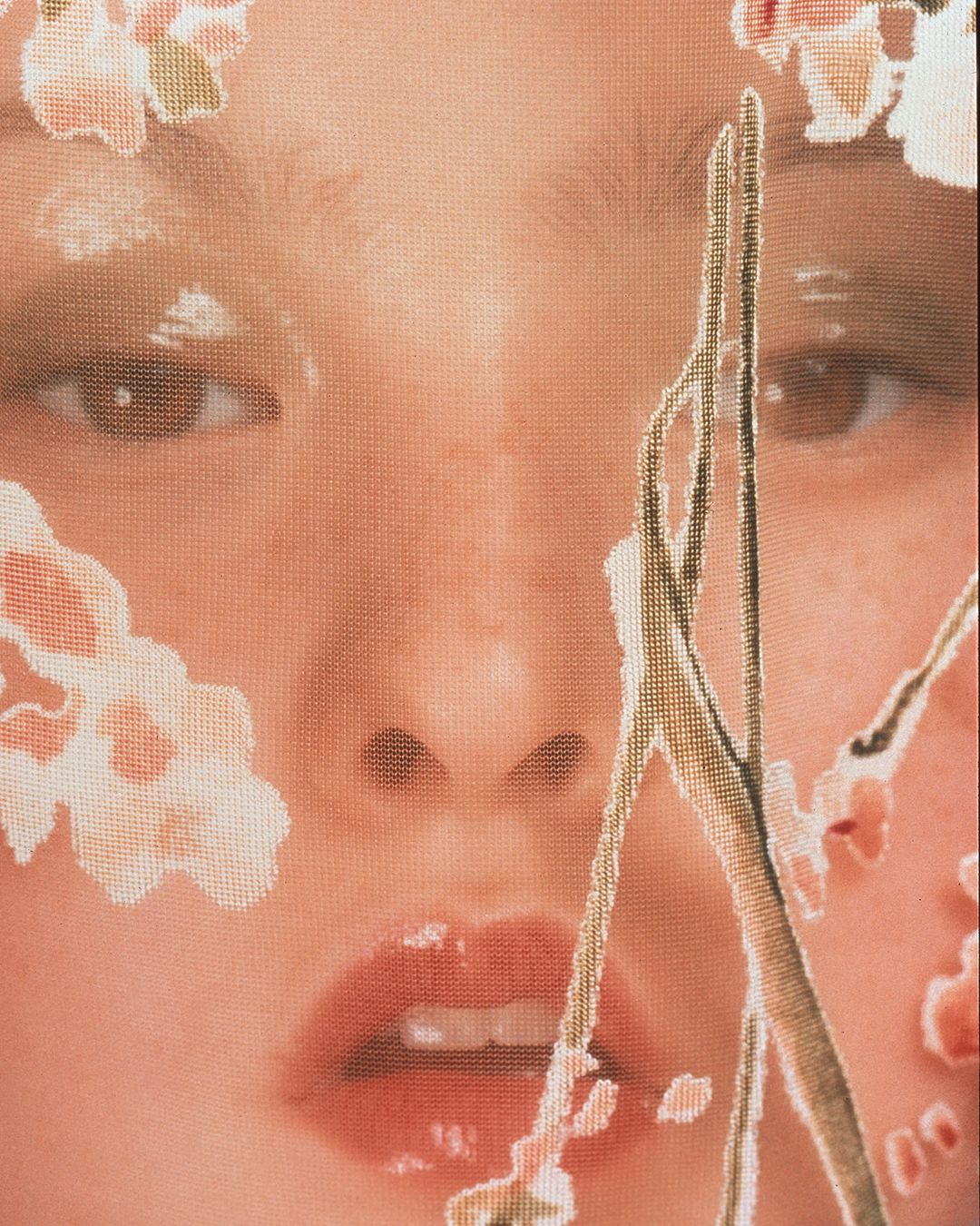 Close up of Devon Aoki's face partially obscured by mesh material with floral detailing