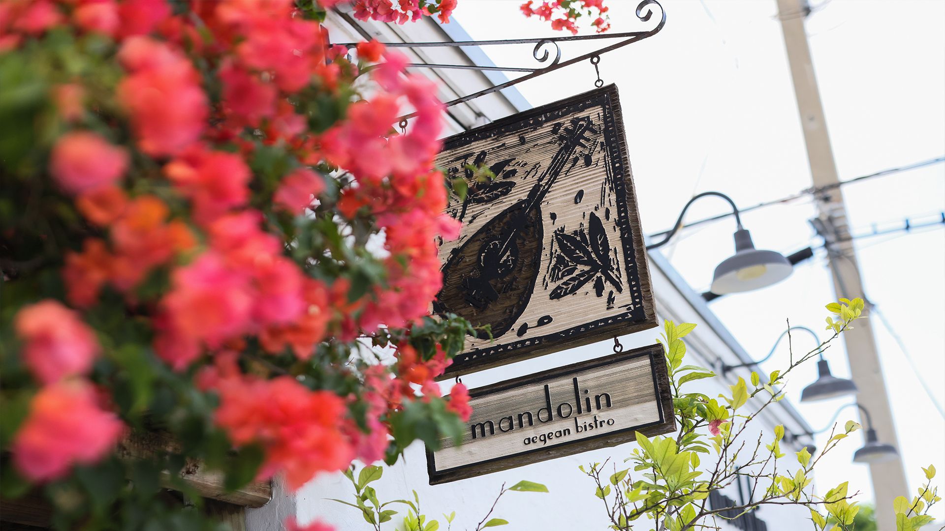 Wooden sign for Mandolin Bistro with red and pink flowers in the foreground slightly obscuring the sign