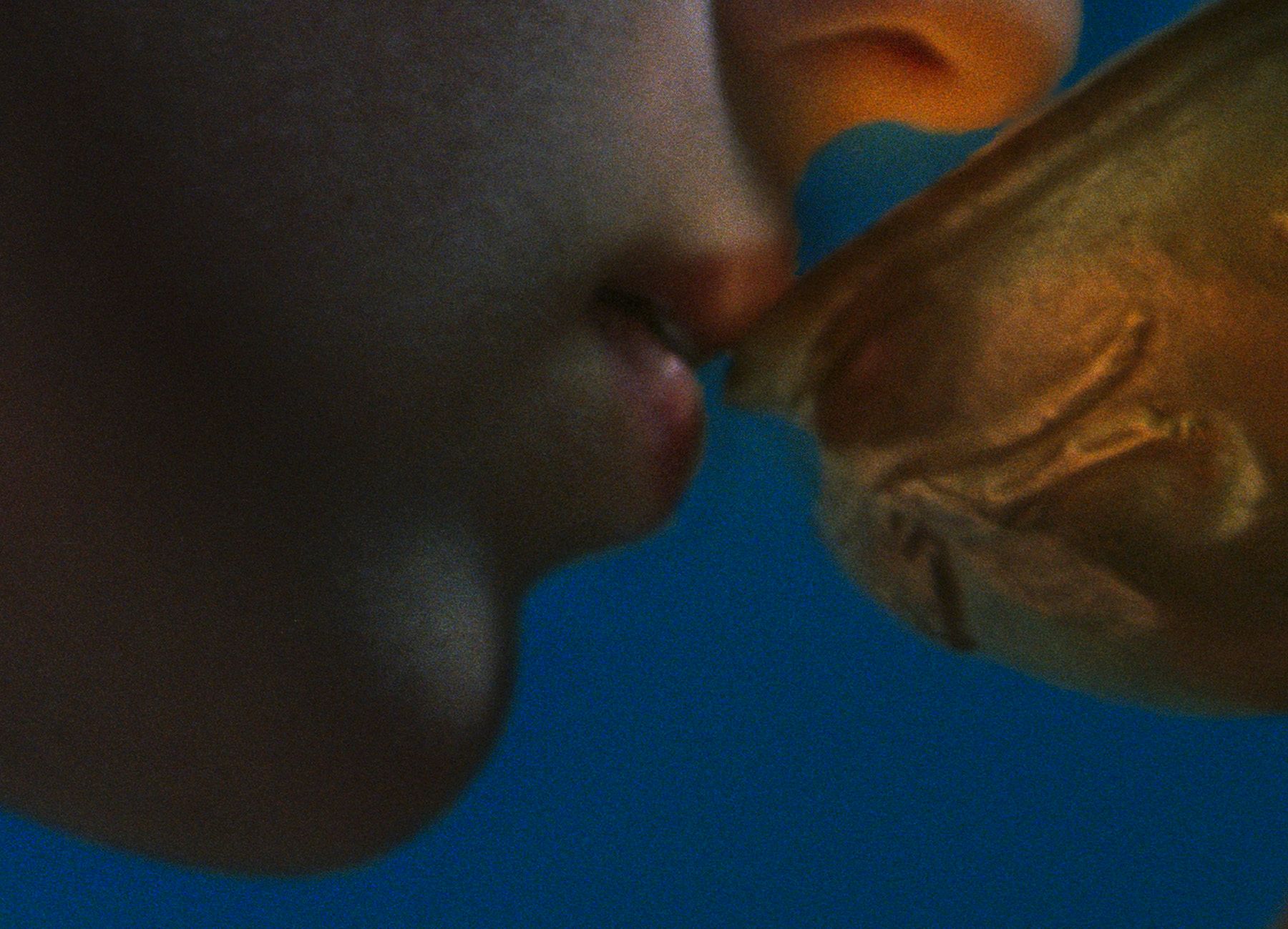 Close up of a woman's mouth touching a golden chalice with a blue background