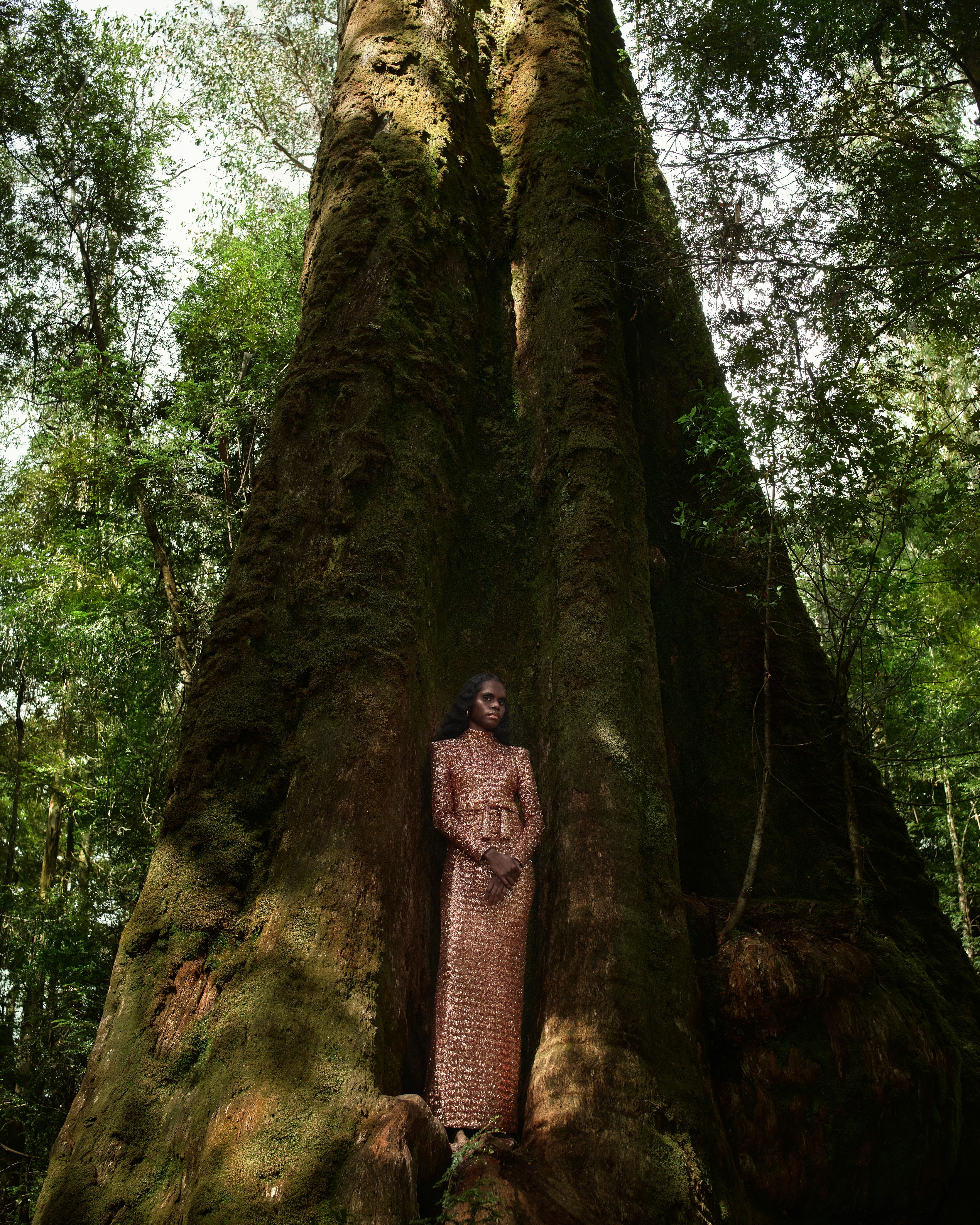 Tarlisa standing in the crook of a tree wearing a bronze-coloured sequinned gown.