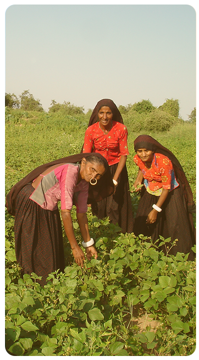 Anil Shah Gram Vikas Paritoshik Award