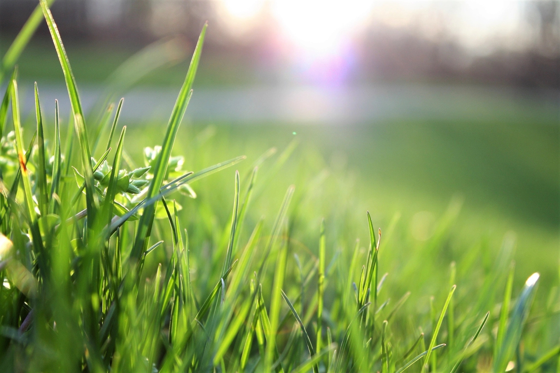 Greencare by Glenveagh