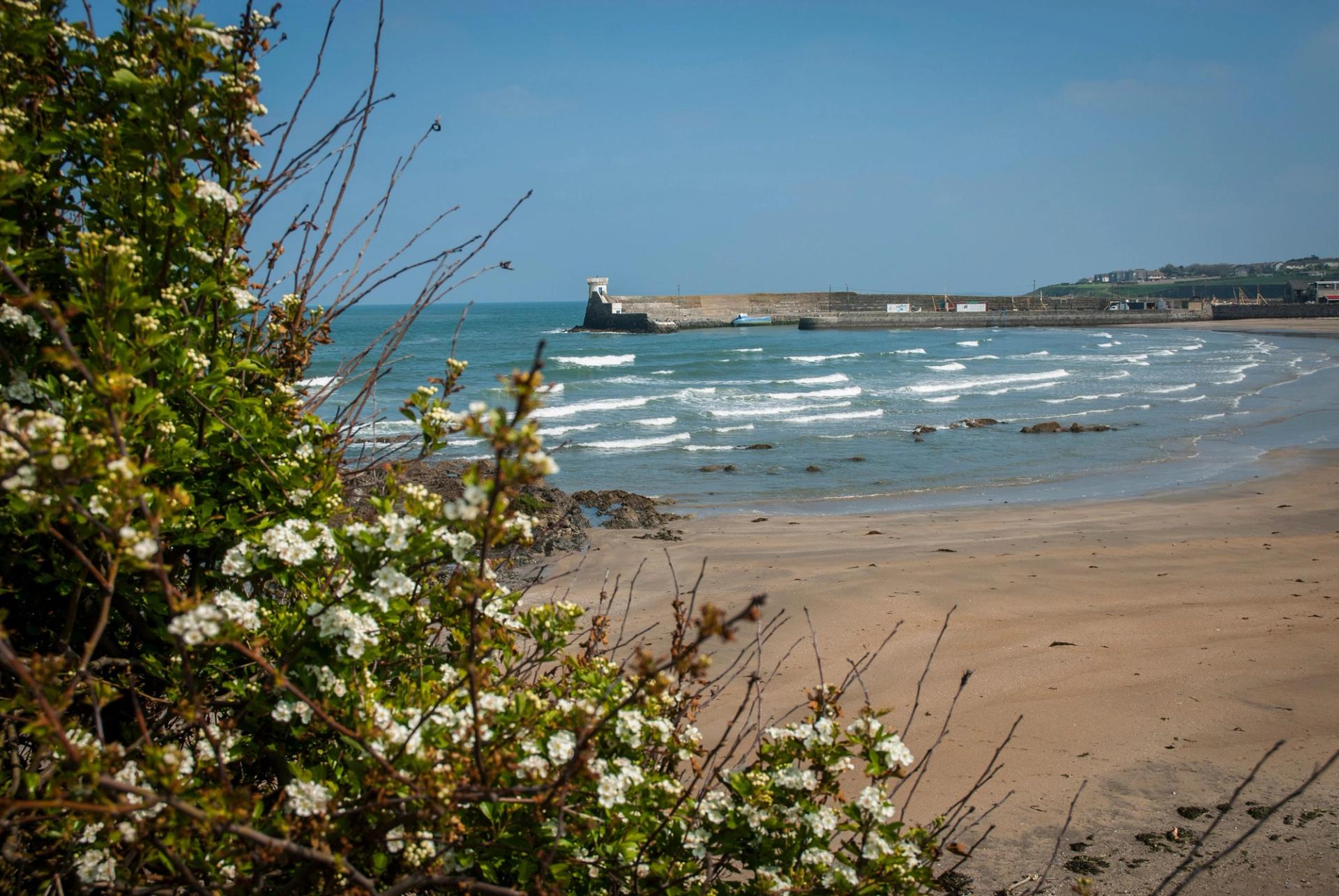 Balbriggan coastal view 