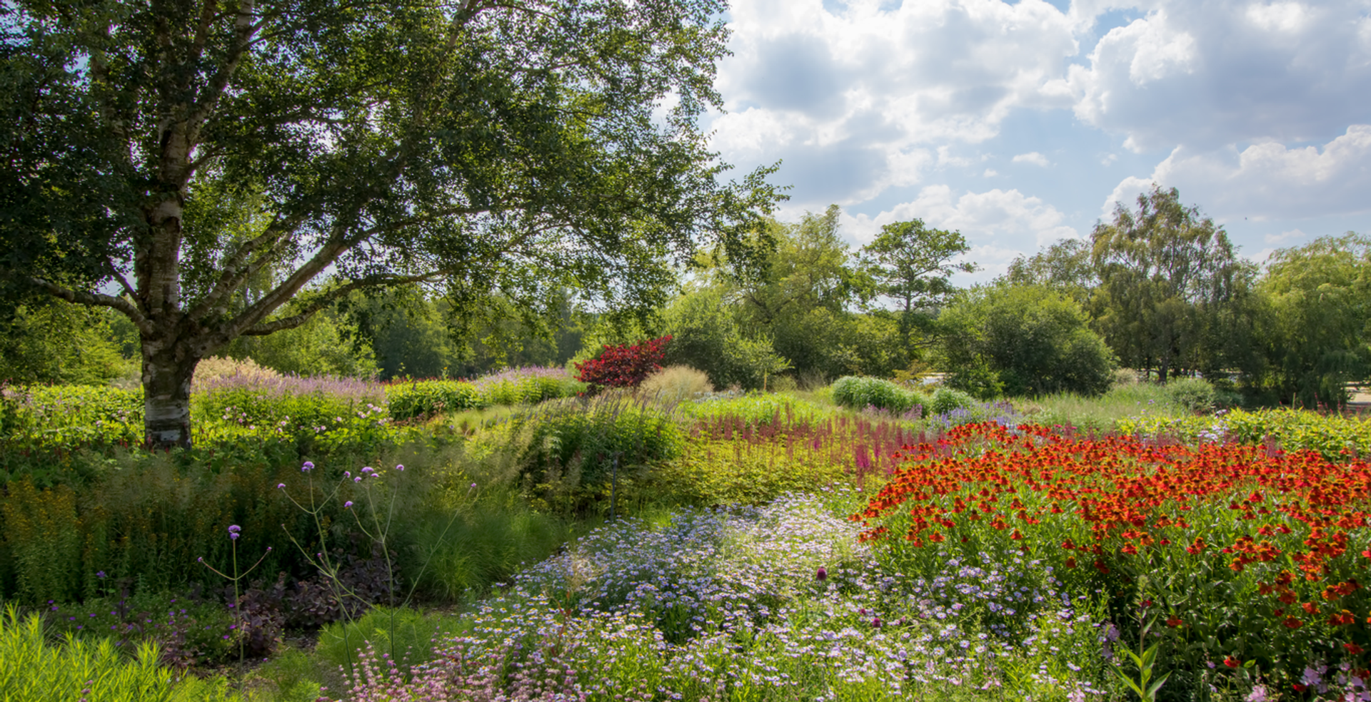 How we support sustainability
