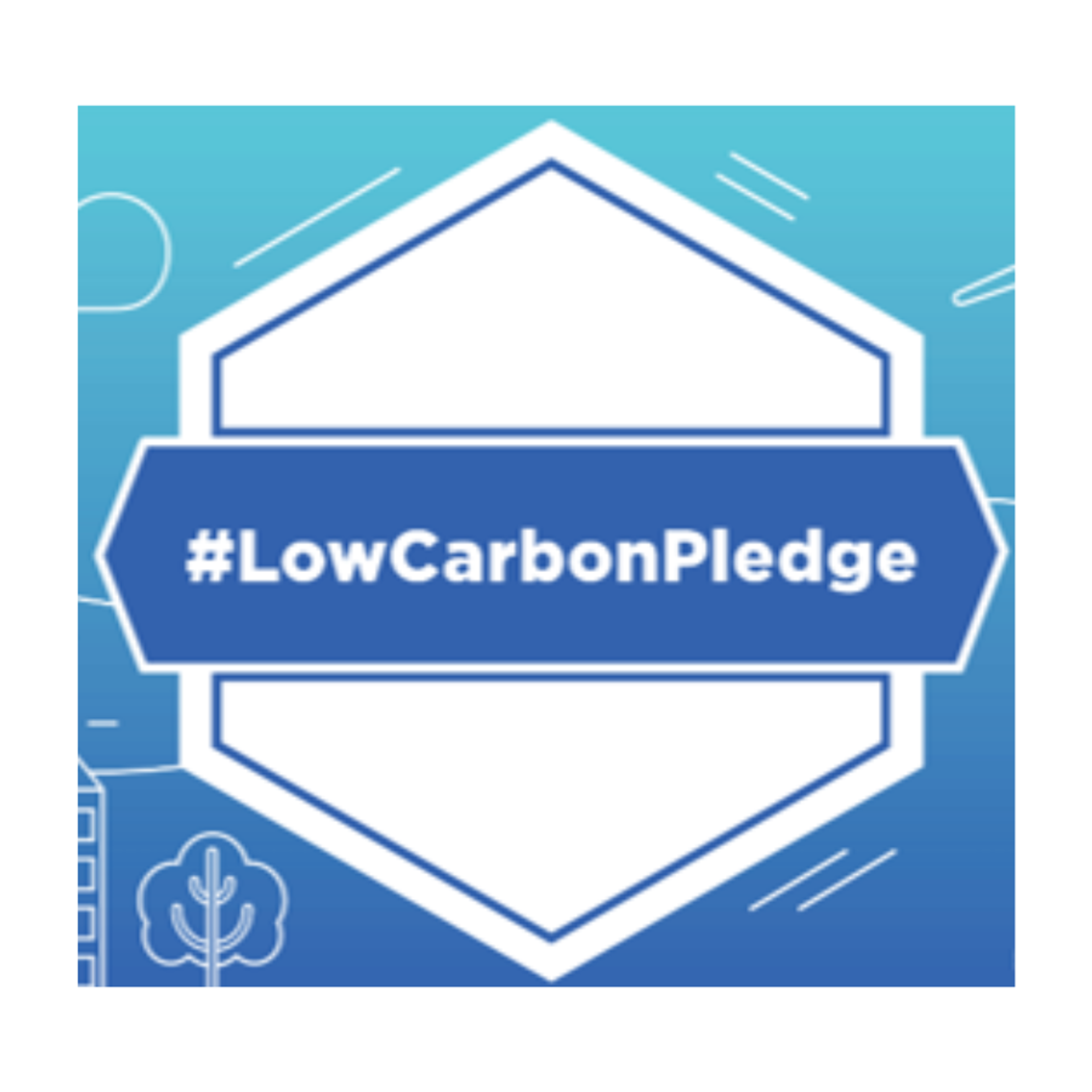 Low Carbon Pledge