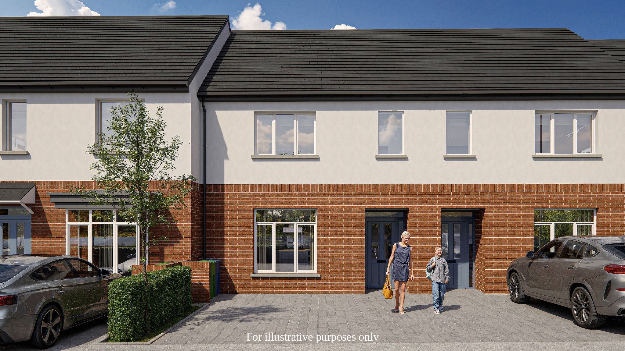 The Quail