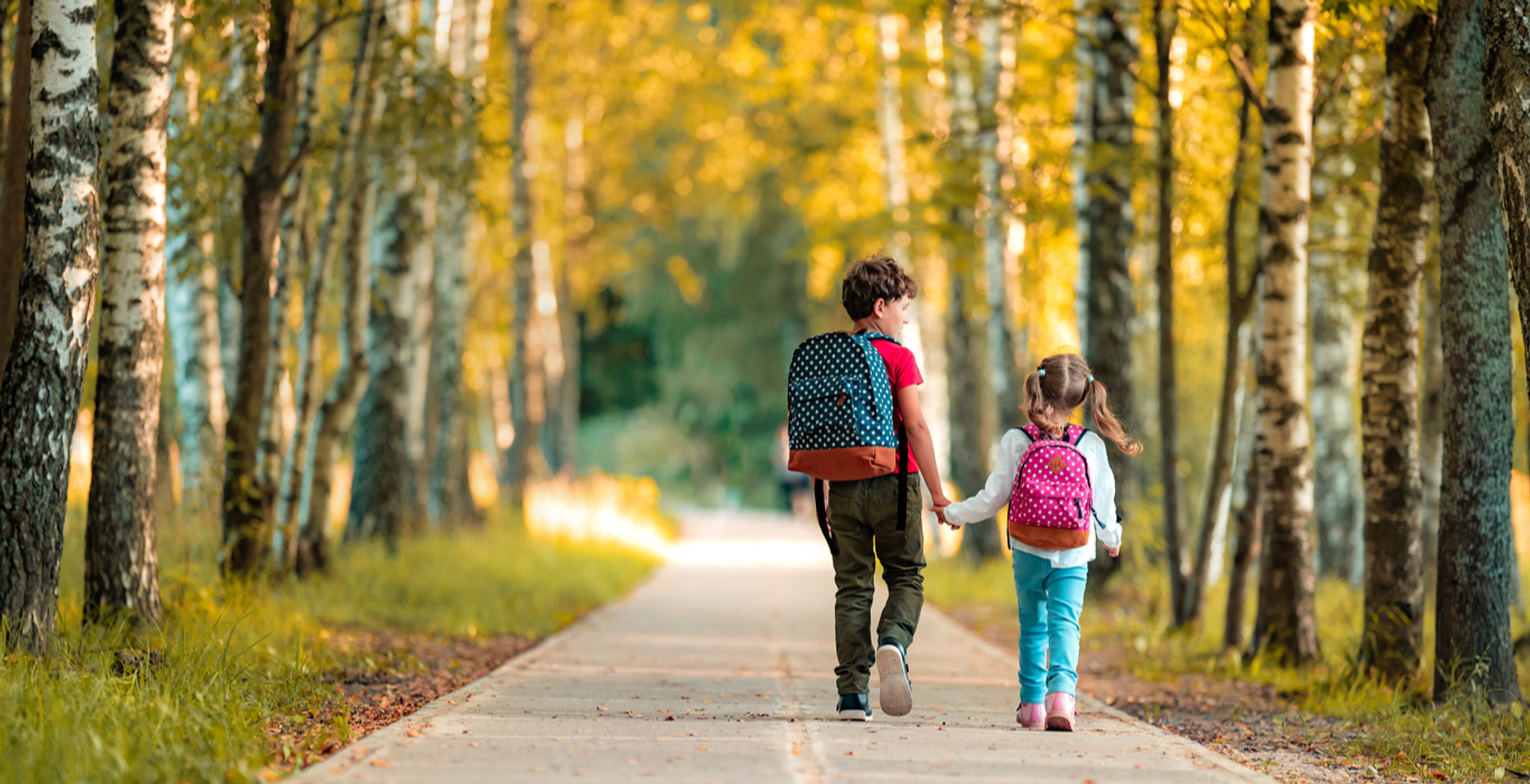 How we support education