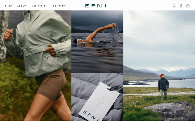 An illustration of a desktop screen showing the Efni website