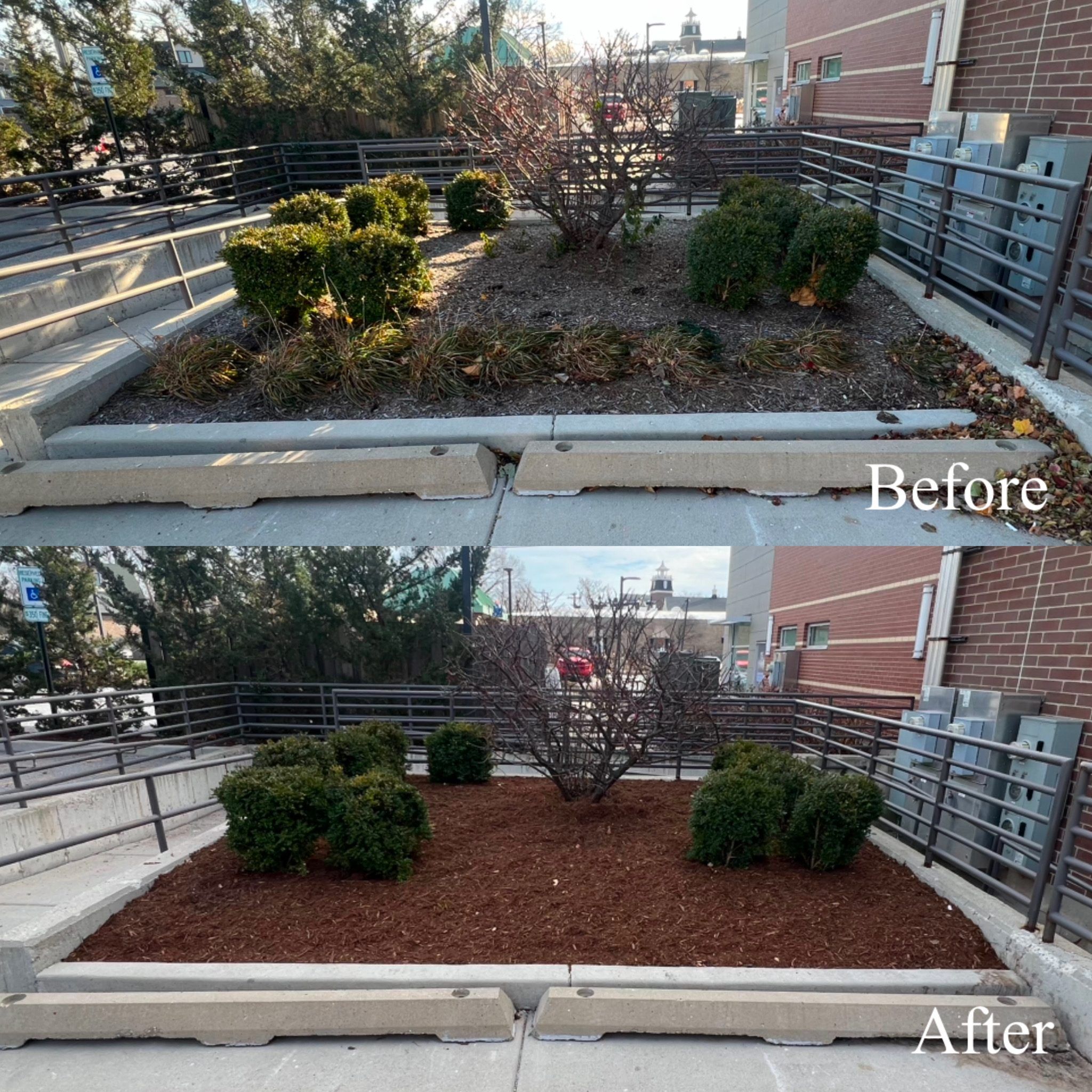 Before and after - commercial bed cleanup and mulch, Park Ridge IL