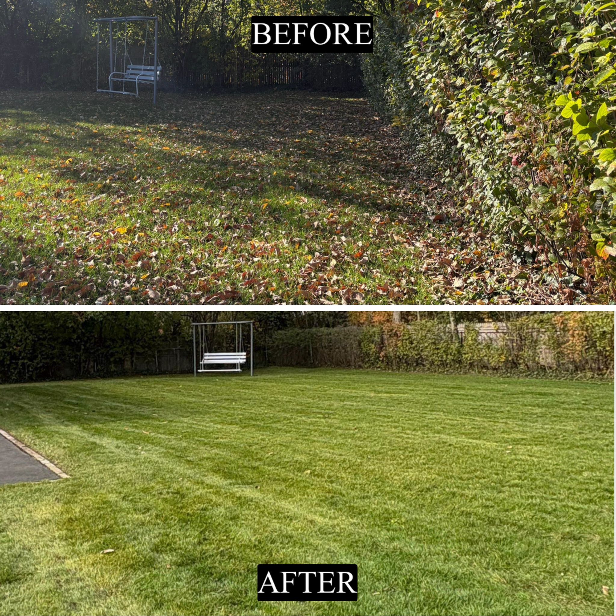Before and after fall cleanup - backyard leaf removal, Winnetka IL