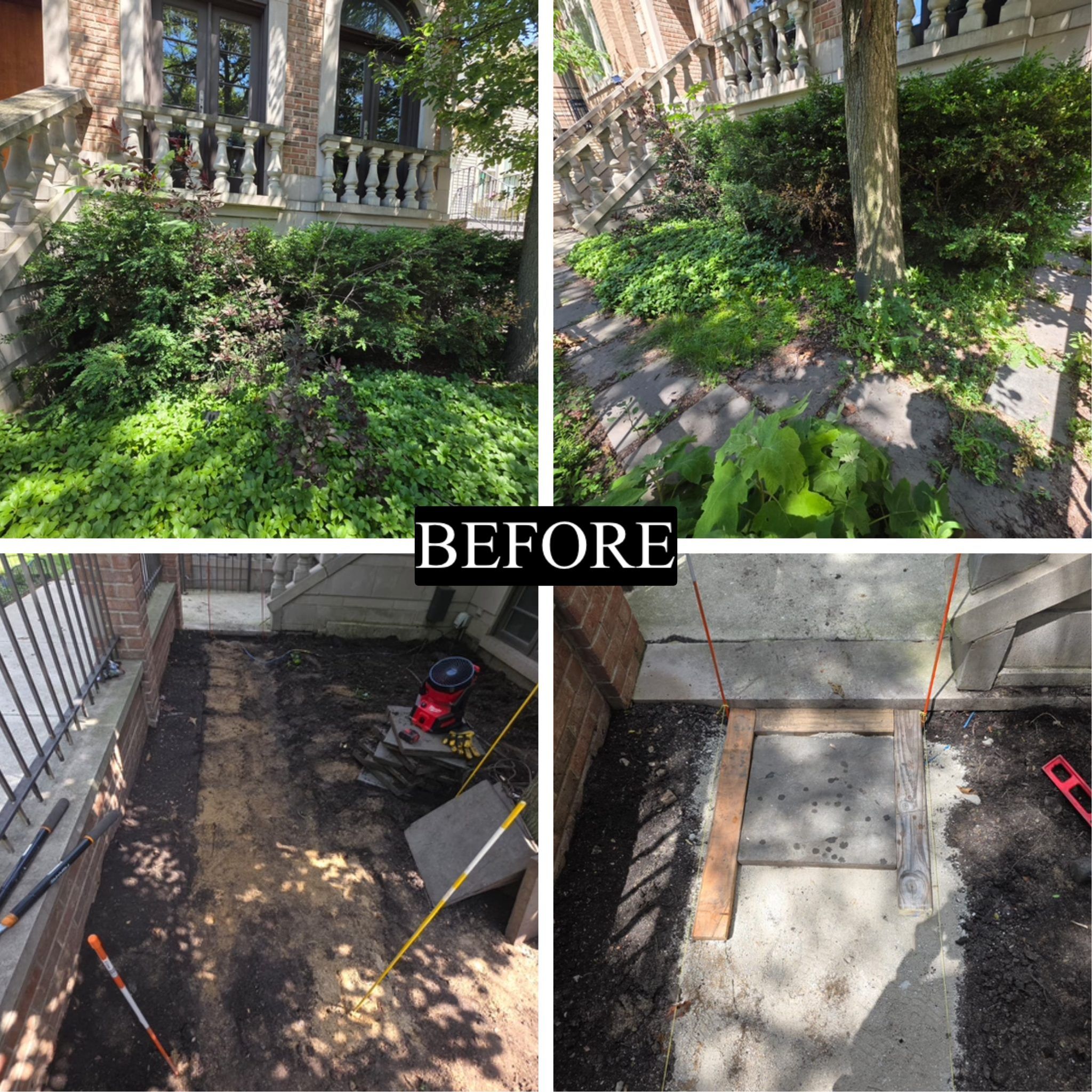 Before - overgrown garden beds, Chicago