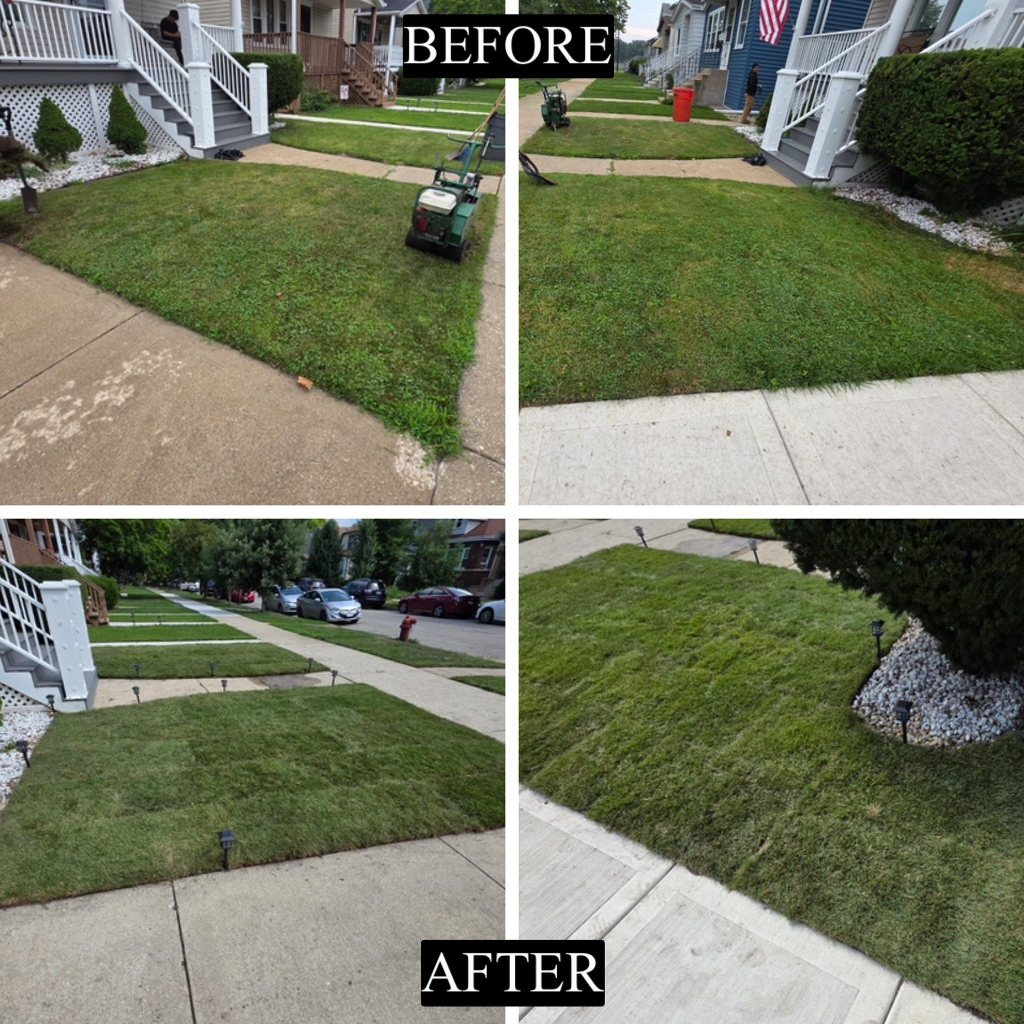Before and after - weedy lawn restored to healthy green grass